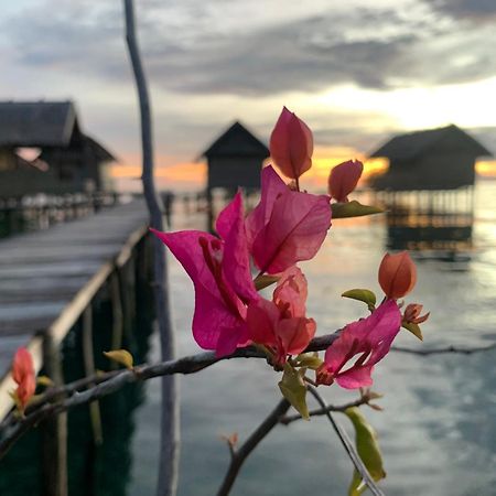 Nyanse Homestay - Raja Ampat Besir Dış mekan fotoğraf
