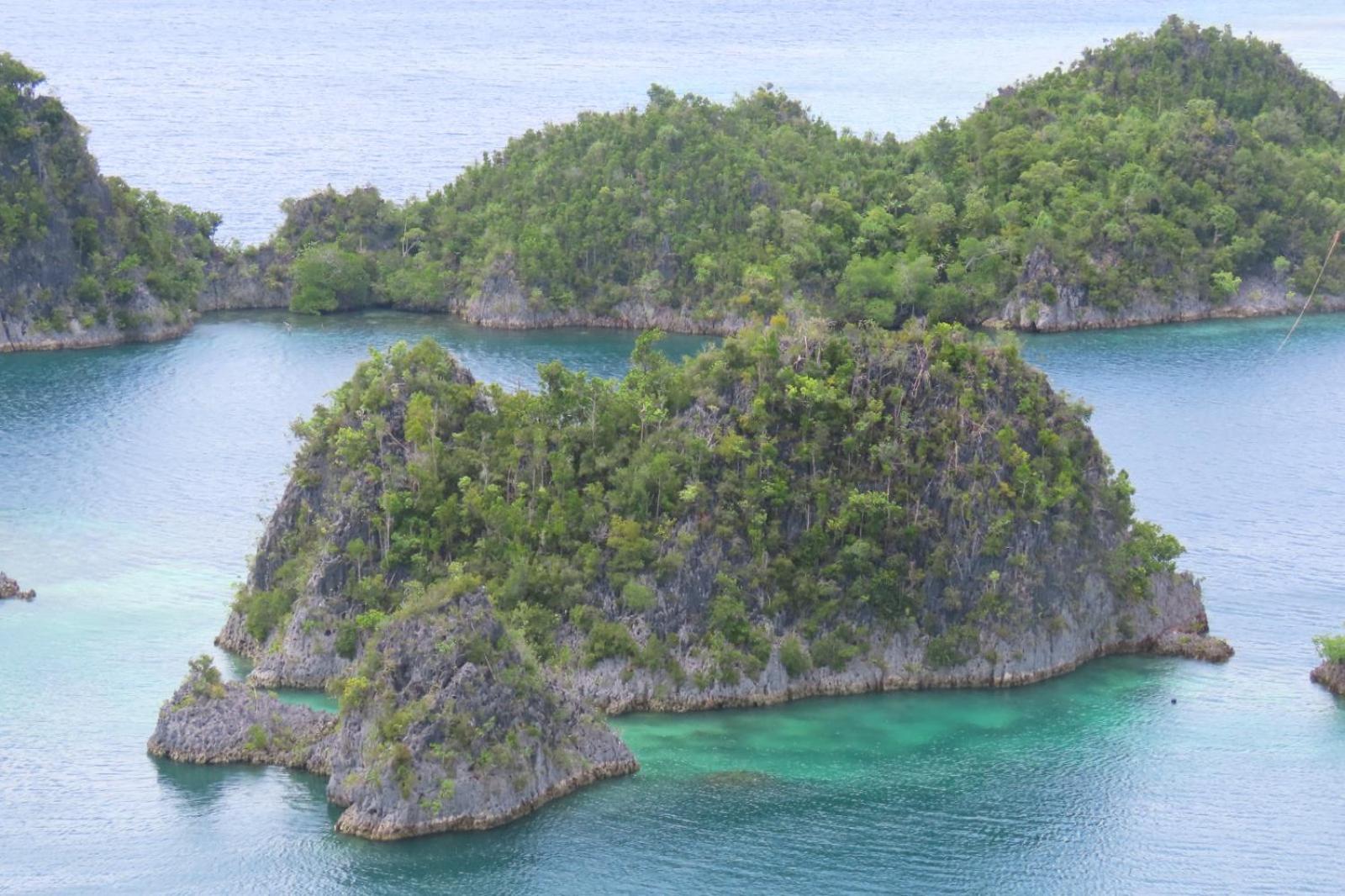 Nyanse Homestay - Raja Ampat Besir Dış mekan fotoğraf