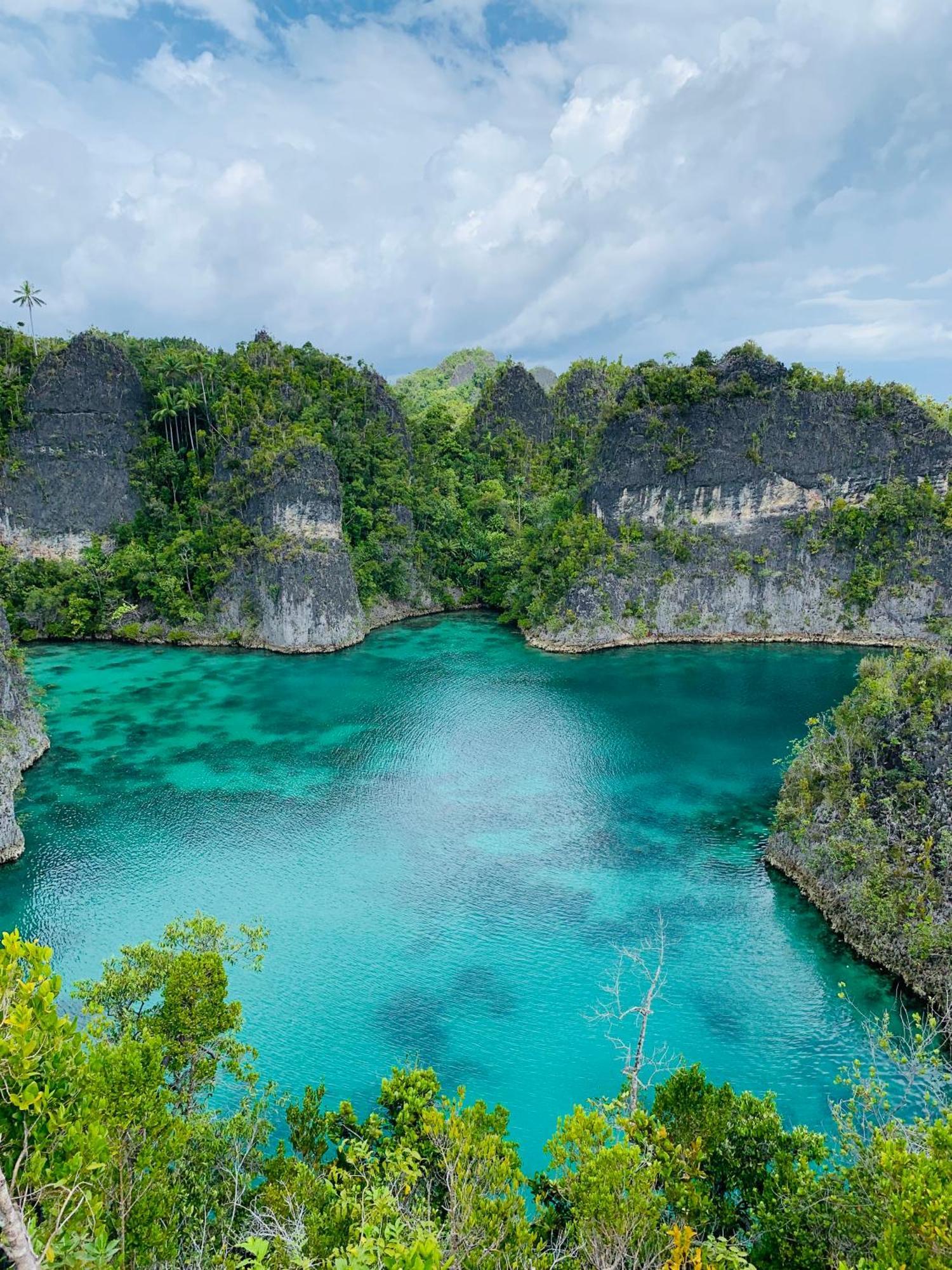 Nyanse Homestay - Raja Ampat Besir Dış mekan fotoğraf