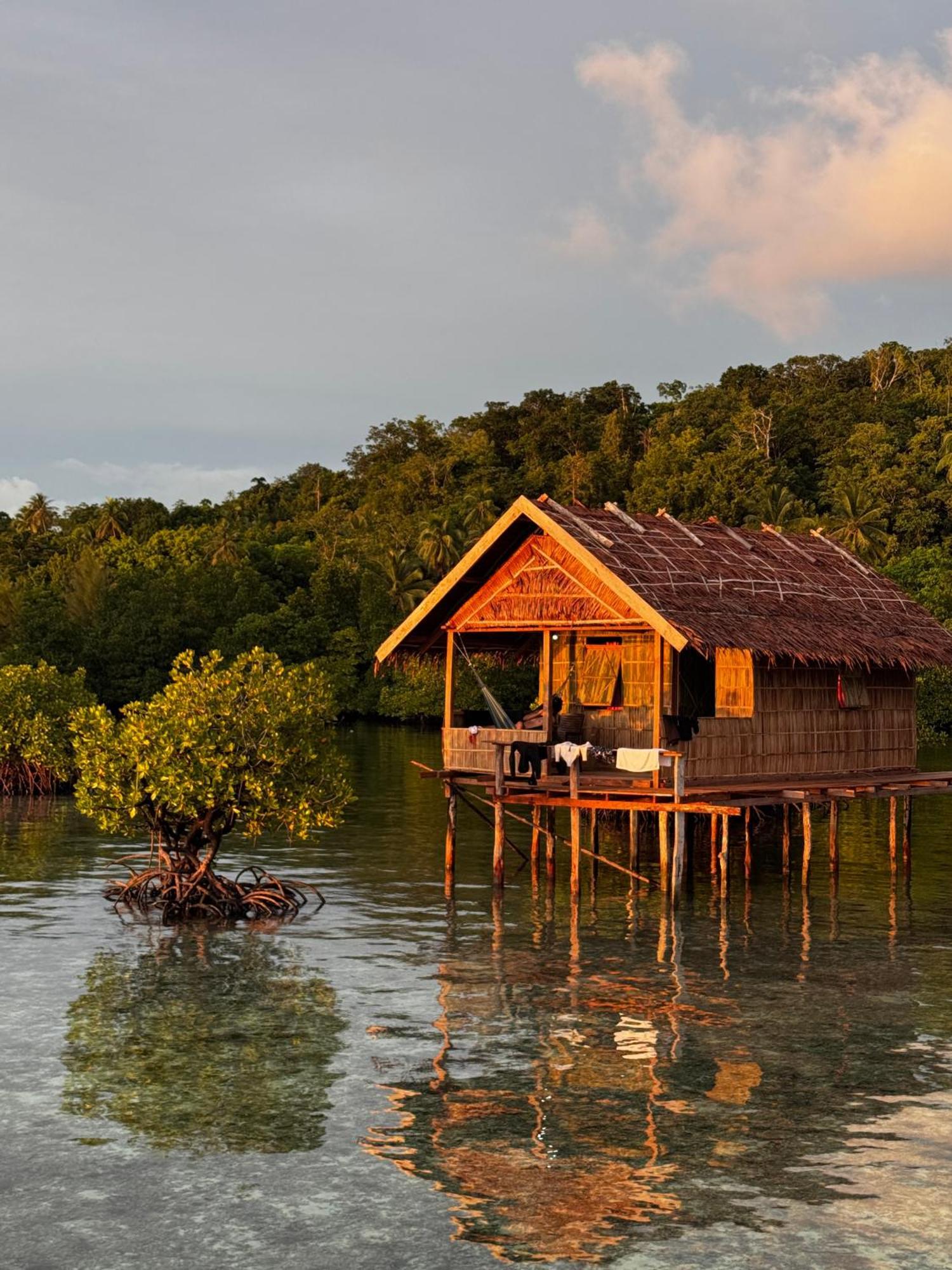 Nyanse Homestay - Raja Ampat Besir Dış mekan fotoğraf