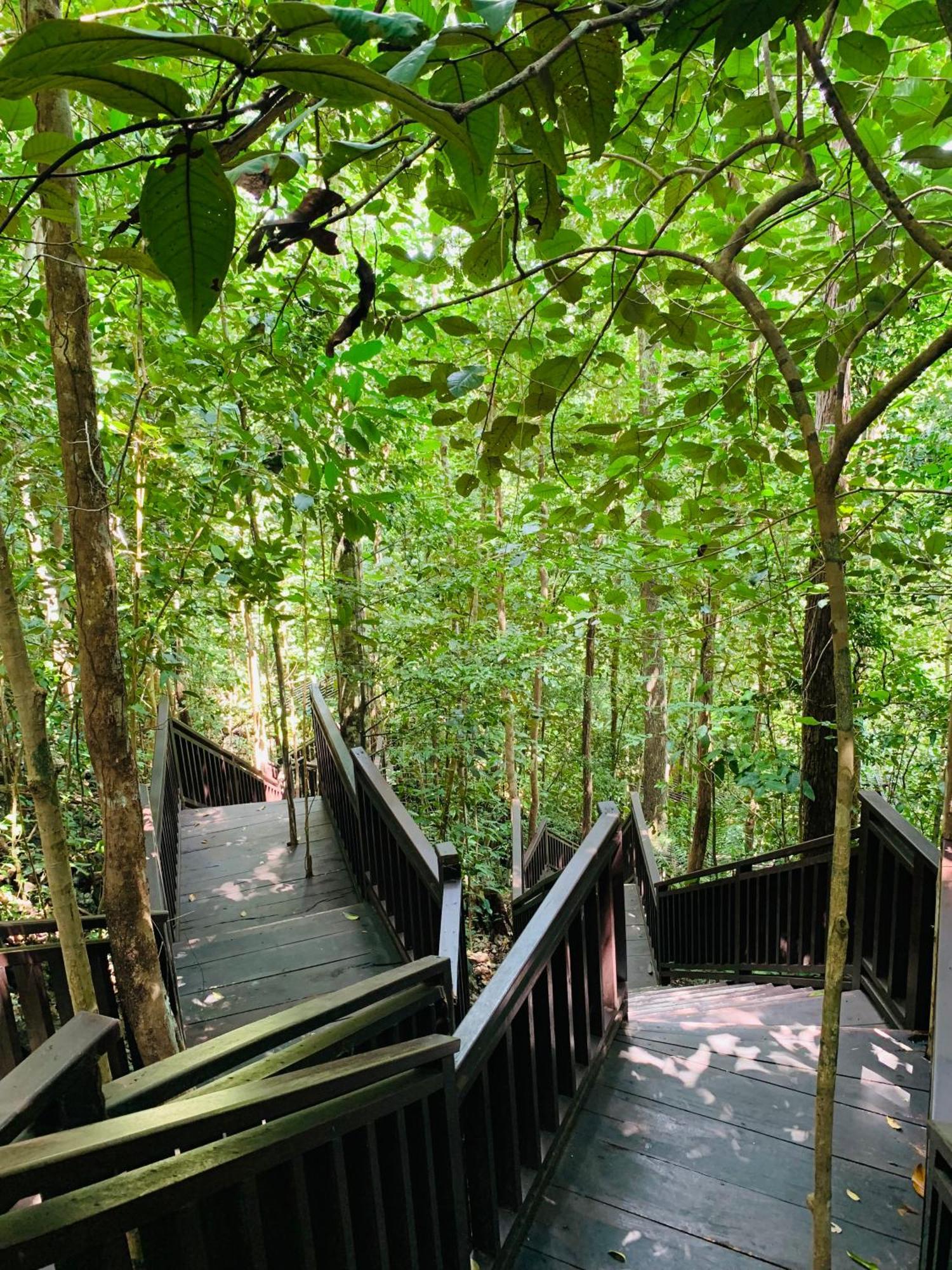 Nyanse Homestay - Raja Ampat Besir Dış mekan fotoğraf