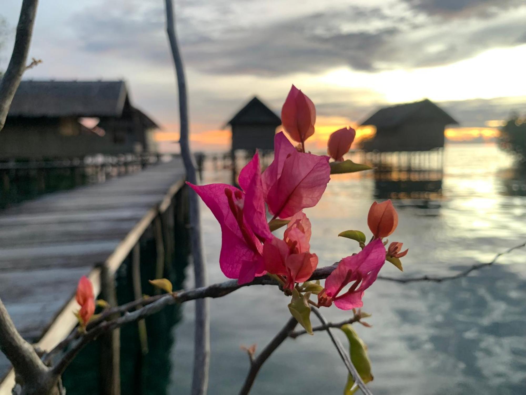 Nyanse Homestay - Raja Ampat Besir Dış mekan fotoğraf
